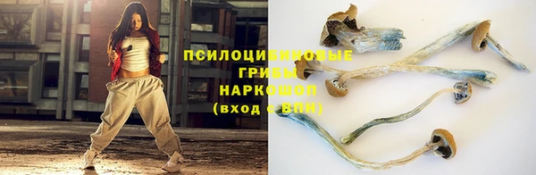 гашик Киренск