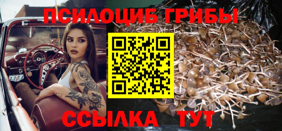 Кубинка  Галлюциногенные грибы Cubensis  Вход с VPN 