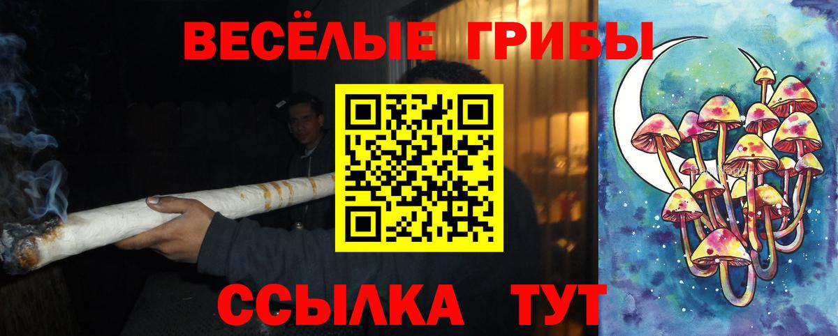 Галлюциногенные грибы MAGIC MUSHROOMS Кубинка